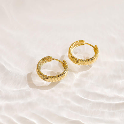 Golden Hoop Earrings