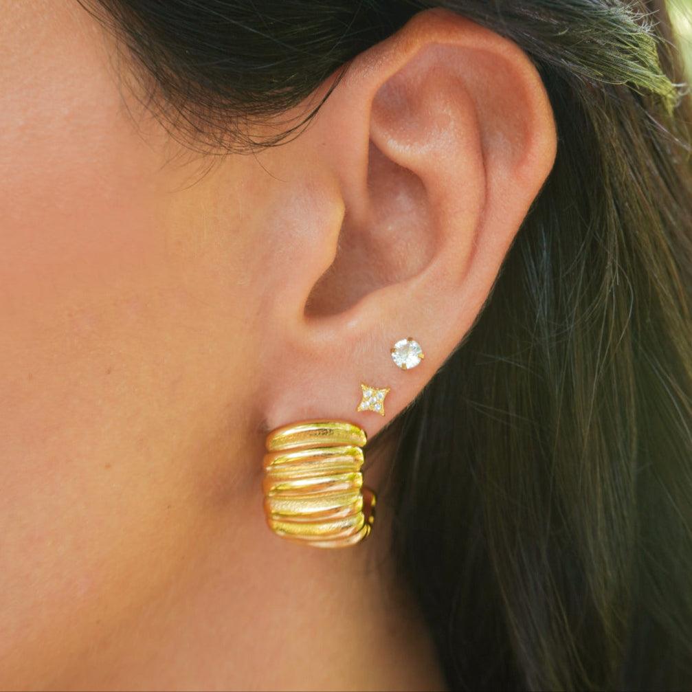 Rich Behavior Earrings